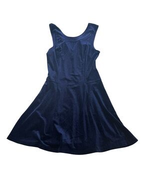 BCBGeneration Navy Blue Shimmery Velvet Sleeveless Fit & Flare Mini Dress Size S